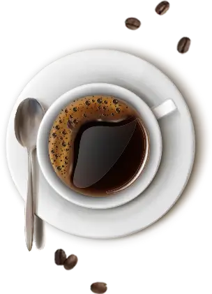 Mateusz Mrozowski Szkolenia